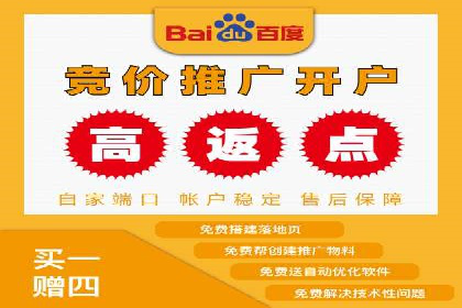 竞价推广SEM托管：打造爆款案例解析